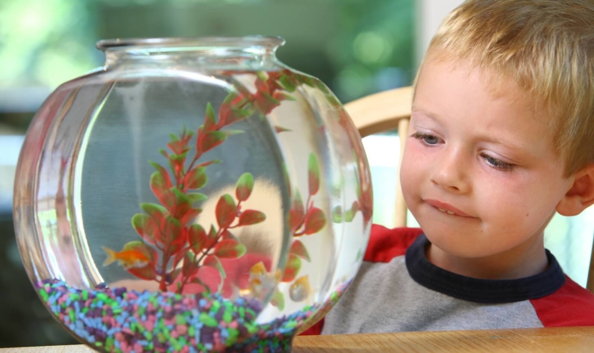 How Caring for Living Things Helps Kids Build Empathy